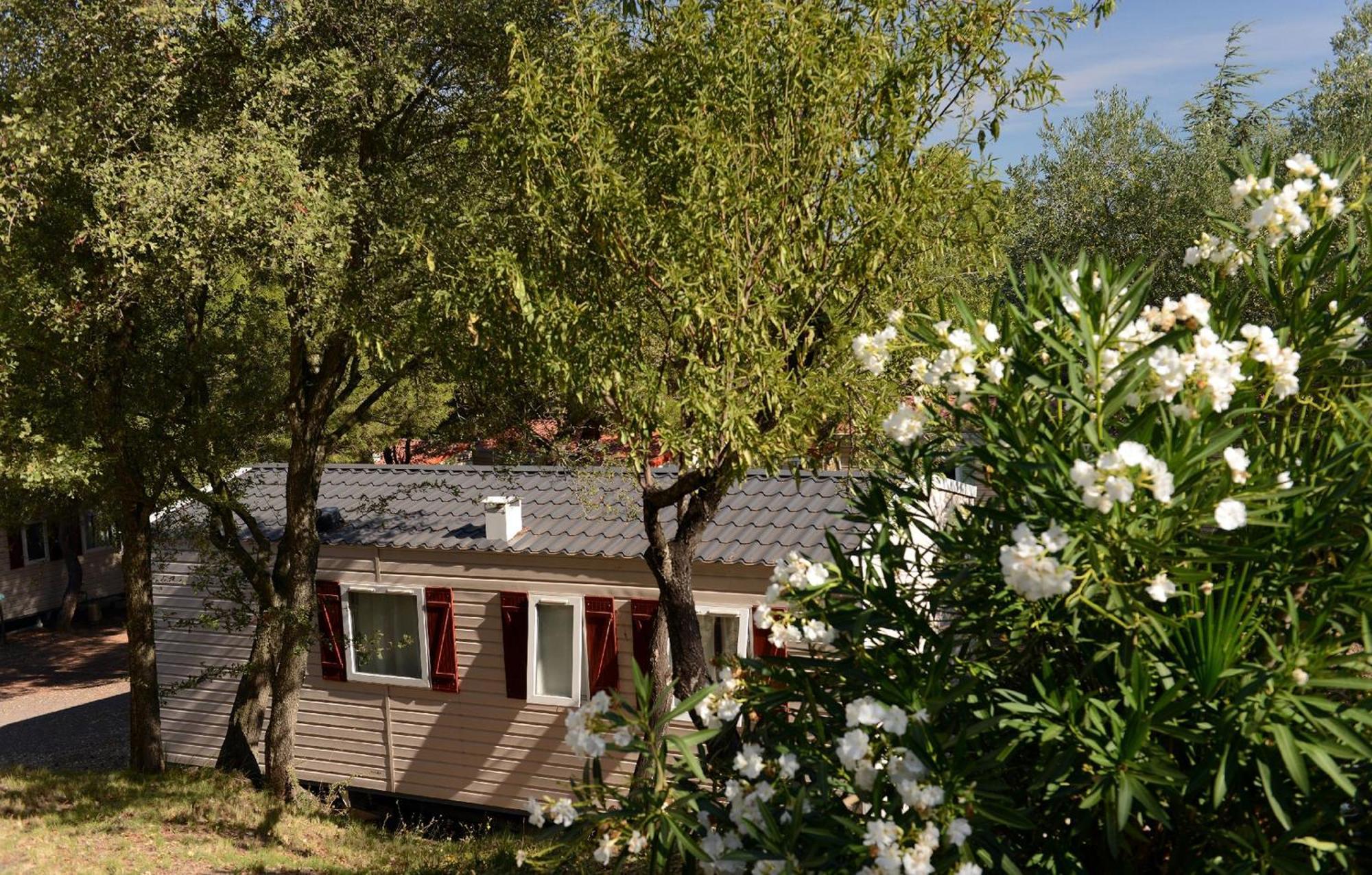 Domaine Residentiel De Plein Air Odalys La Pinede Agde Bagian luar foto