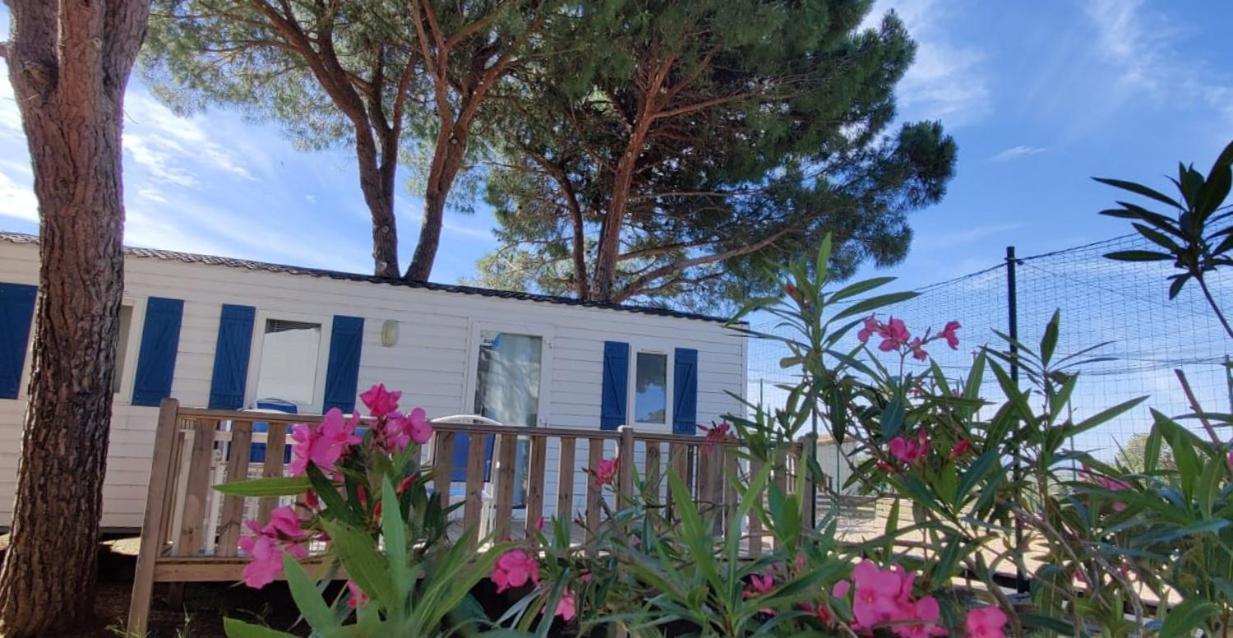 Domaine Residentiel De Plein Air Odalys La Pinede Agde Bagian luar foto