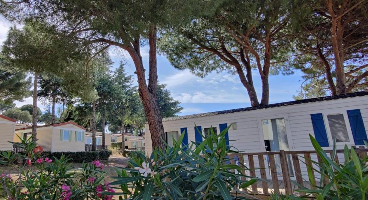 Domaine Residentiel De Plein Air Odalys La Pinede Agde Bagian luar foto
